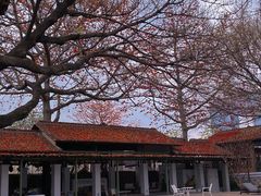 -喜洲吧·江畔老船厂·庭院餐厅(喜临院店)