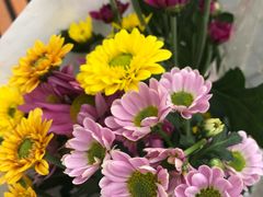 -秦美花卉(天朗·莱茵小城2期店)