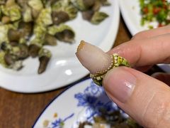 -四季美蚝皇