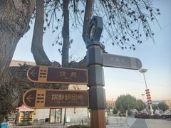 -特克斯八卦城