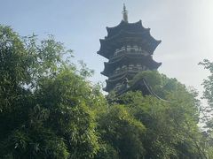 -洋湖国家湿地公园