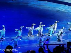 -珠海横琴长隆《卡卡虎奇遇记》