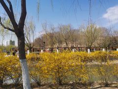 -南翠屏公园