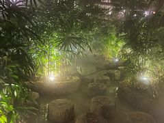 -三江森林温泉度假区