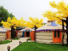 景观位-大汗行宫园林餐厅