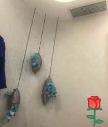 -健身堂科技美肌SPA
