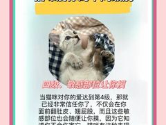 -美联众合动物医院·24h转诊中心