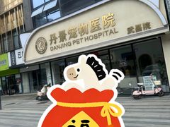 -丹景宠物医院·全科·老年病·牙科(武昌诊疗中心)