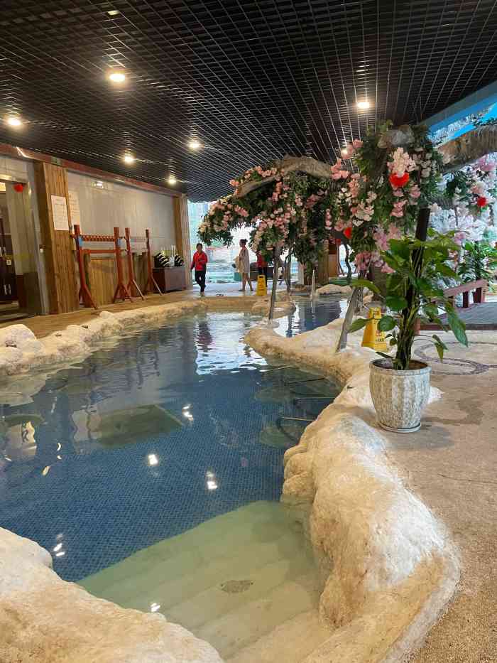 孟电生态园温泉酒店图片