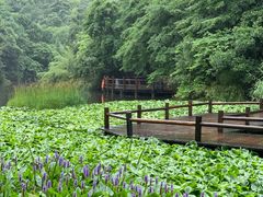 -天目湖山水园