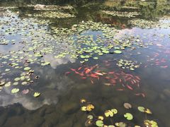 -白马涧龙池景区