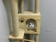 -谐和益家动物医院·免疫绝育·血液透析·宠保定点医院(高新伊藤分院)