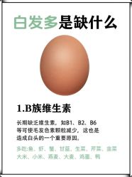 -Bollins波林丝•专研护发中心