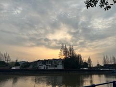 -高东镇樱花园