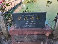 -靖西鹅泉风景区