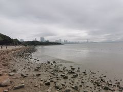 -深圳湾公园(南山区)