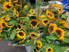 -循礼门鲜花花市(武汉循礼门店)