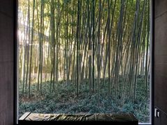 -苏州园林博物馆