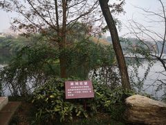 -重庆彩云湖湿地公园