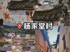 -杨家堂村