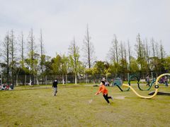 -上海长兴岛郊野公园