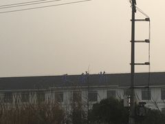 -明珠湖天鹅苑·农家菜馆