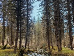 -硗碛藏寨·神木垒景区