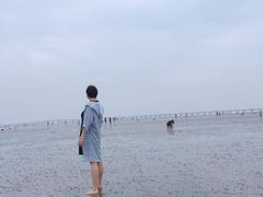 -南汇嘴观海公园