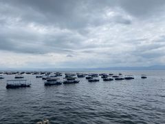 -抚仙湖禄充风景区