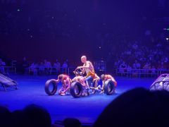 -珠海横琴长隆《卡卡虎奇遇记》