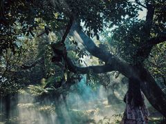 -Chom Cafe and Restaurant