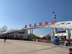 -石家庄市植物园