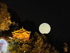 -巴倒烫陆派重庆火锅(南山店)