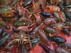 -正宗盱眙龙虾忘不了美食(淮安店)