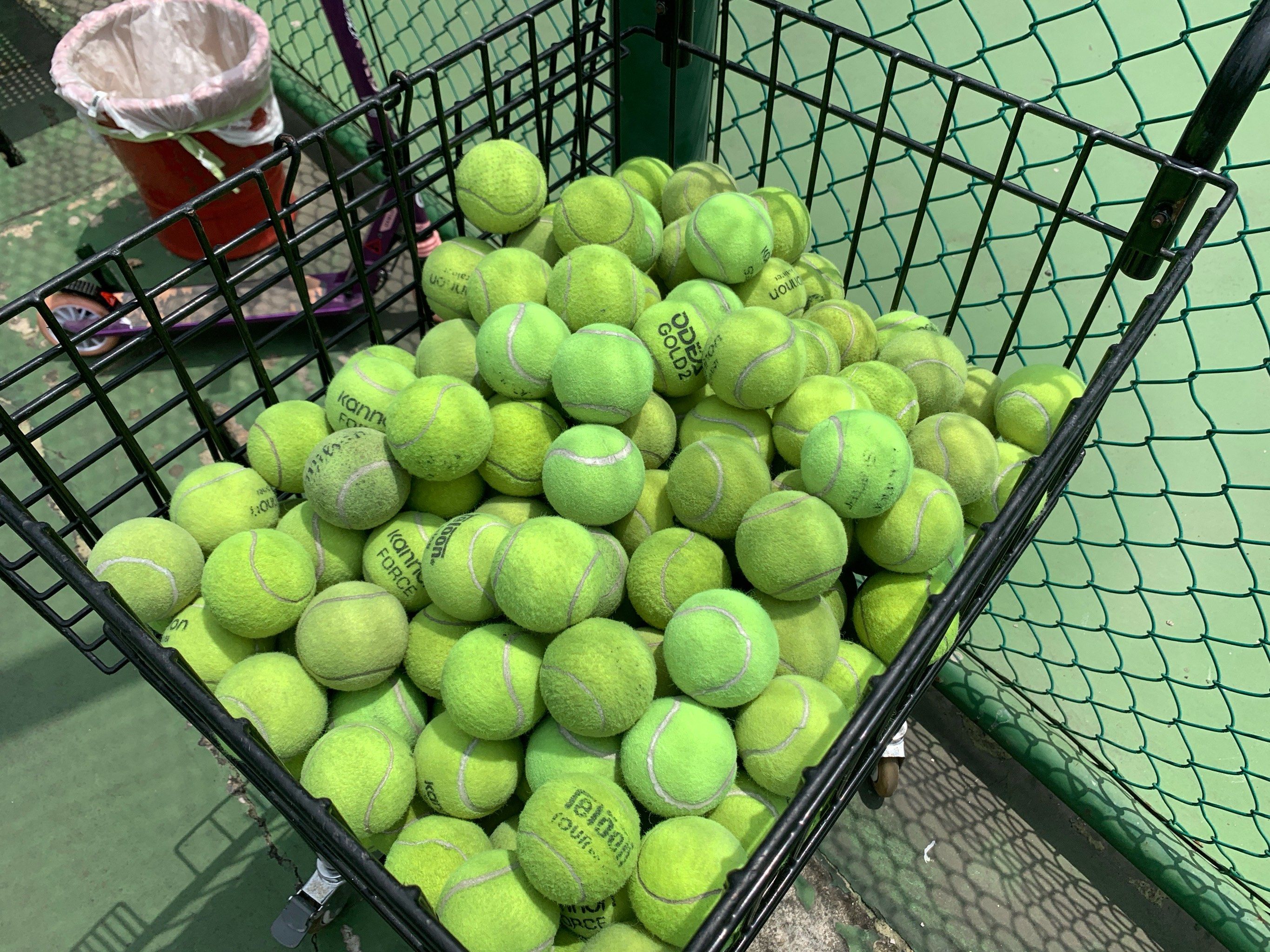 荧光黄绿的夏天 网球🎾