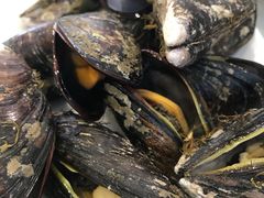 -金海湾海鲜排档(朱家尖店)