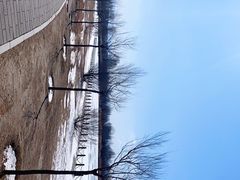 -野鸭湖国家湿地公园