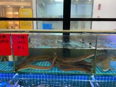 水产区-洲晓鲜·舟山海鲜大排档(朱家尖风景区店)