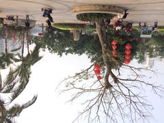 iphone_upload_pic-白沙门生态公园