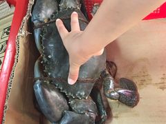 -龙海鲜螃蟹王(宏茂桥店)