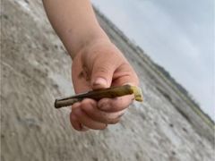 -刘家湾赶海园
