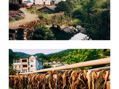 -雁南飞茶田景区