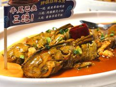 酱焖牛尾巴鱼（每斤）-胖姐渔村(中源大道店)