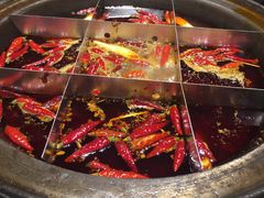 -杨家火锅(国美店)