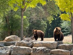 -北京野生动物园