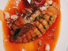 -古南都·老广东酒楼(龙江店)