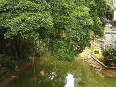 -小洲村