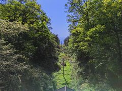 -镇龙山国家森林公园