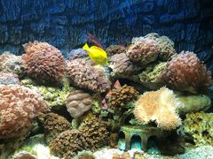 -北戴河圣蓝海洋公园