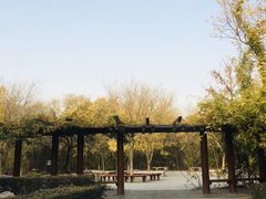 -塘沽森林公园